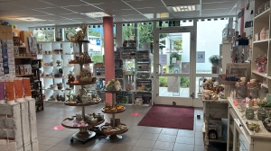 Foto4